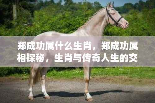 越鸟南栖 第6页