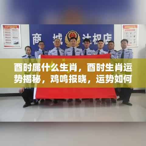 酉时生肖运势揭秘，鸡鸣报晓，运势波动解析