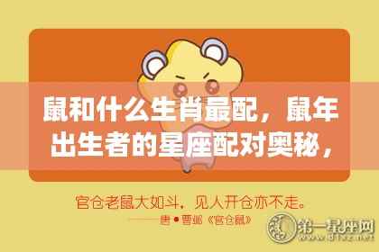 生肖鼠的最佳情缘，星座配对与生肖奥秘探索