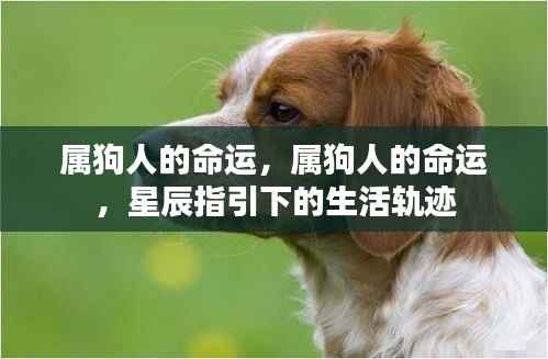 春蛙秋蝉 第6页