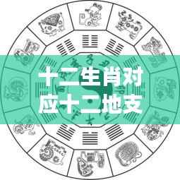十二生肖与十二地支，星运交织的奥秘探索