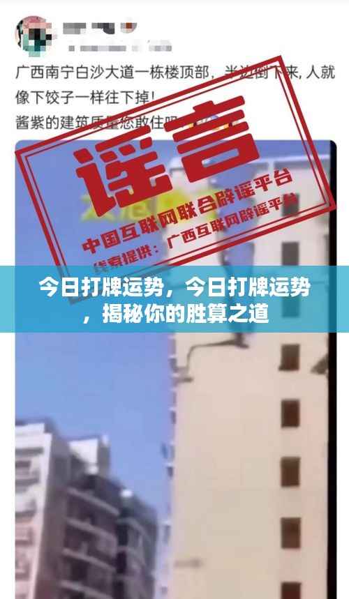 沉灶产蛙 第5页