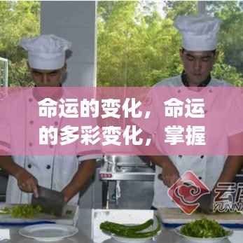 命运的多彩变化，掌握自我，拥抱未来之旅
