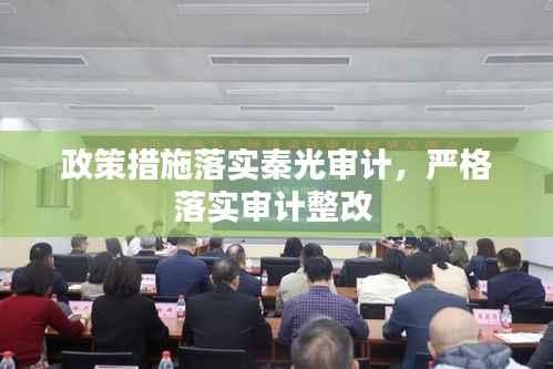 政策措施落实秦光审计，严格落实审计整改 