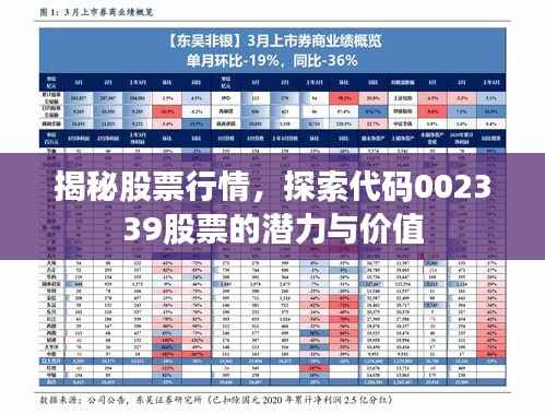 揭秘股票行情，探索代码002339股票的潜力与价值