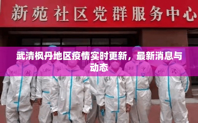 武清枫丹地区疫情实时更新，最新消息与动态